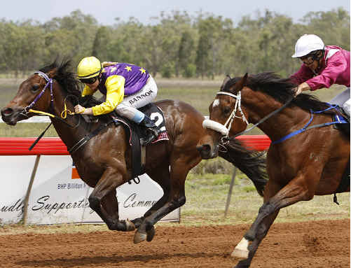 HEAD STRONG: Trinity Bannon rides home a winner at the Moranbah North Mine Cup race meet earlier this month. pe-131110-007 HEAD STRONG: Trinity Bannon rides home a winner at the Moranbah North Mine Cup race meet earlier this month. pe-131110-007